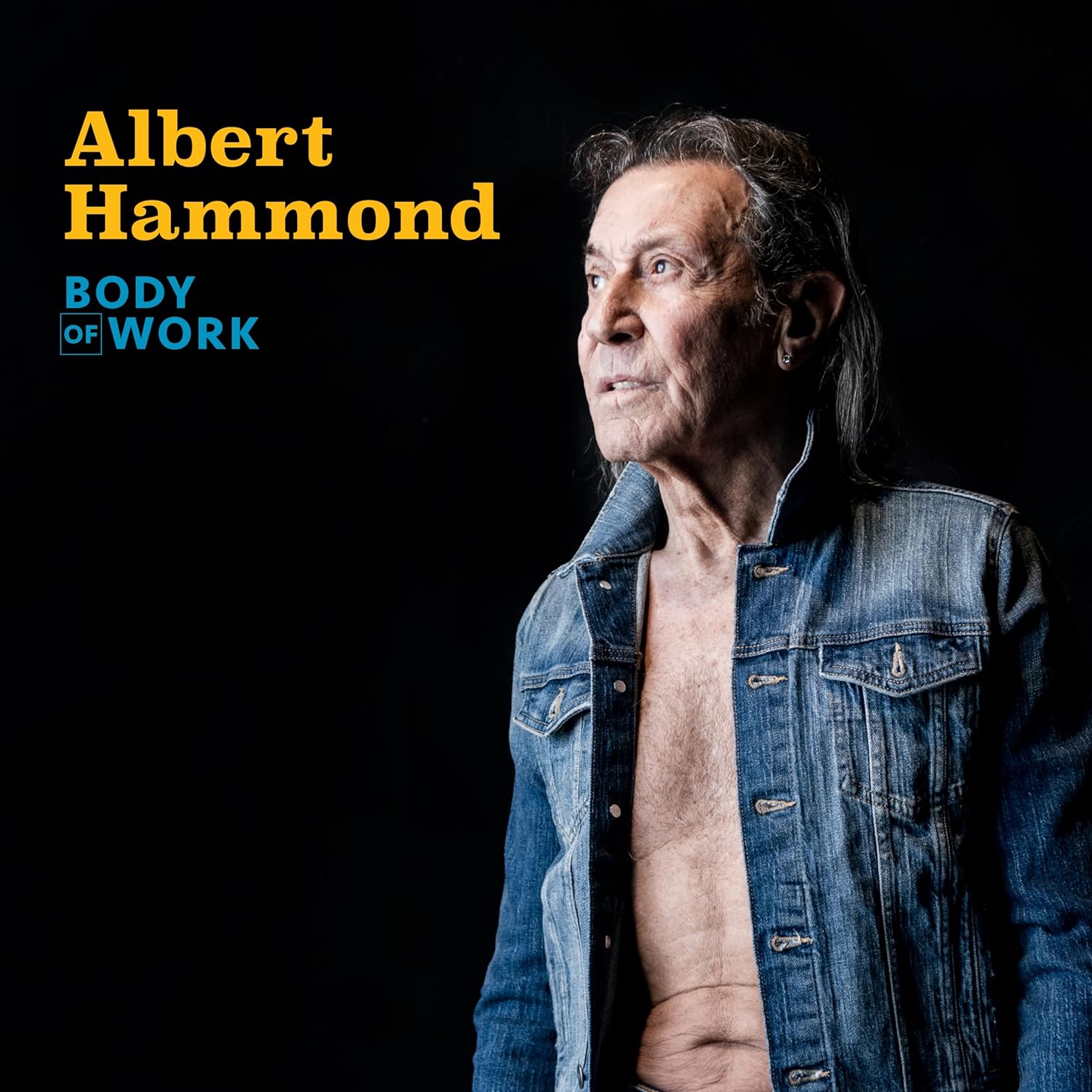 Albert Hammond - Body of Work (Music CD)