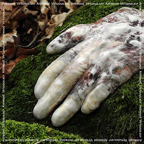 Antwood - Virtuous. SCR (Music CD)