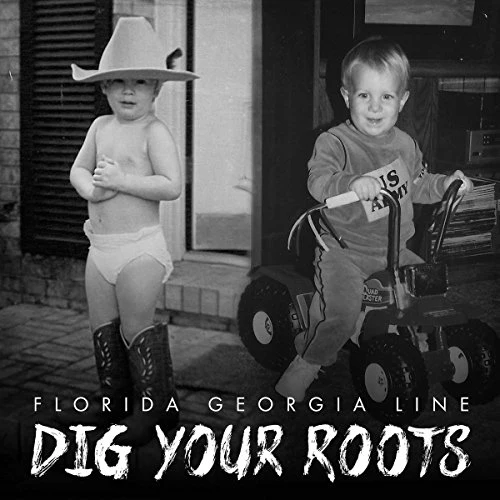 Florida Georgia Line - Dig Your Roots (Music CD)
