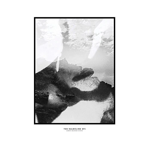 Hippo Campus - Halocline Eps (Music CD)