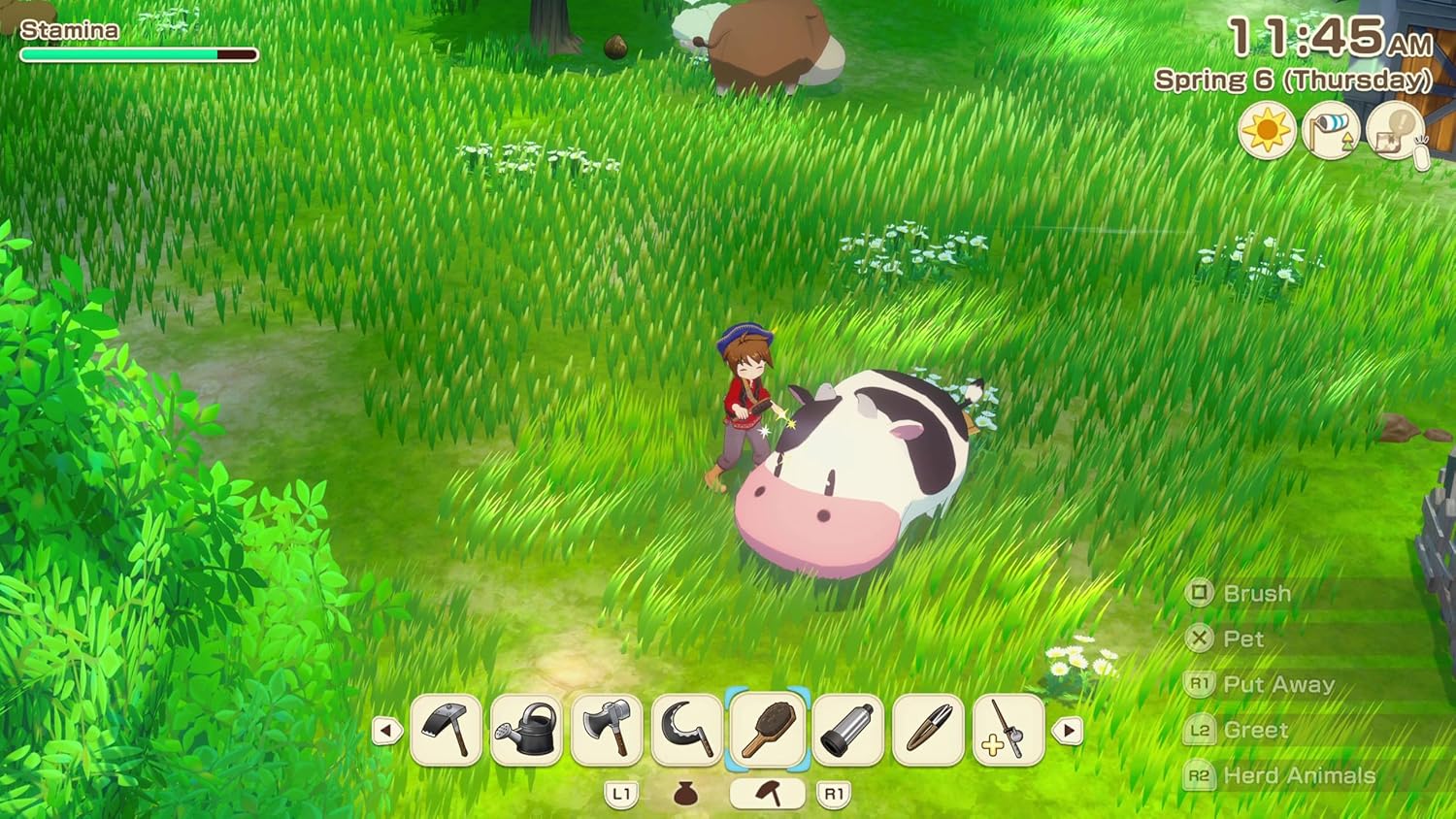 Story of Seasons: Grand Bazaar (PS5) - Image 2