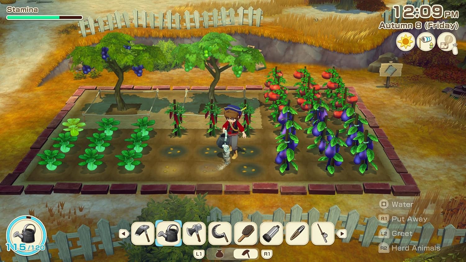 Story of Seasons: Grand Bazaar (PS5) - Image 3