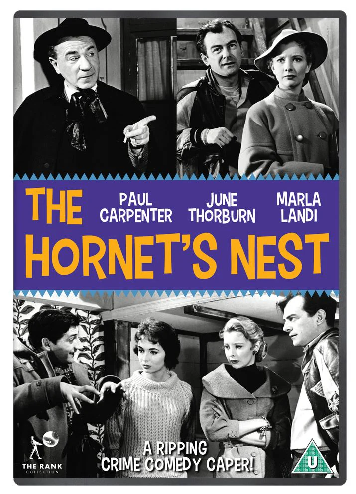 The Hornet's Nest (1955)