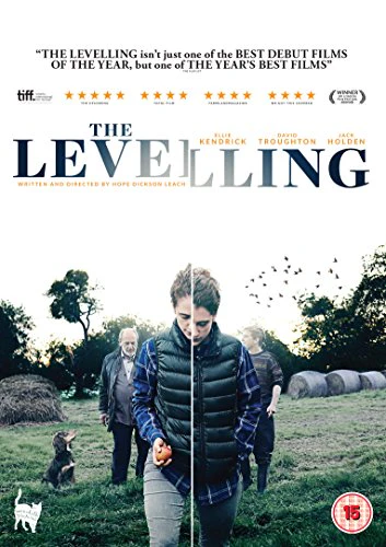 The Levelling [DVD]